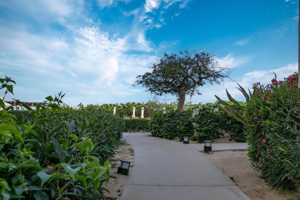 Exquisite 3Br Condo Ocean Views Access Resorts 卡波圣卢卡斯 外观 照片